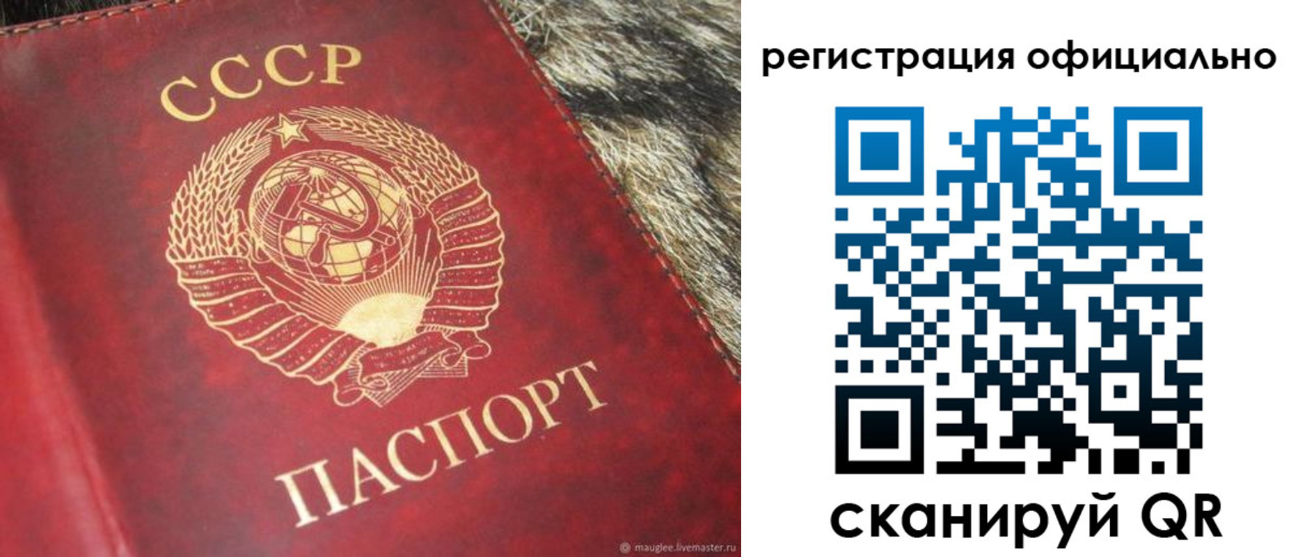 временная регистрация надежно в Лыткарино